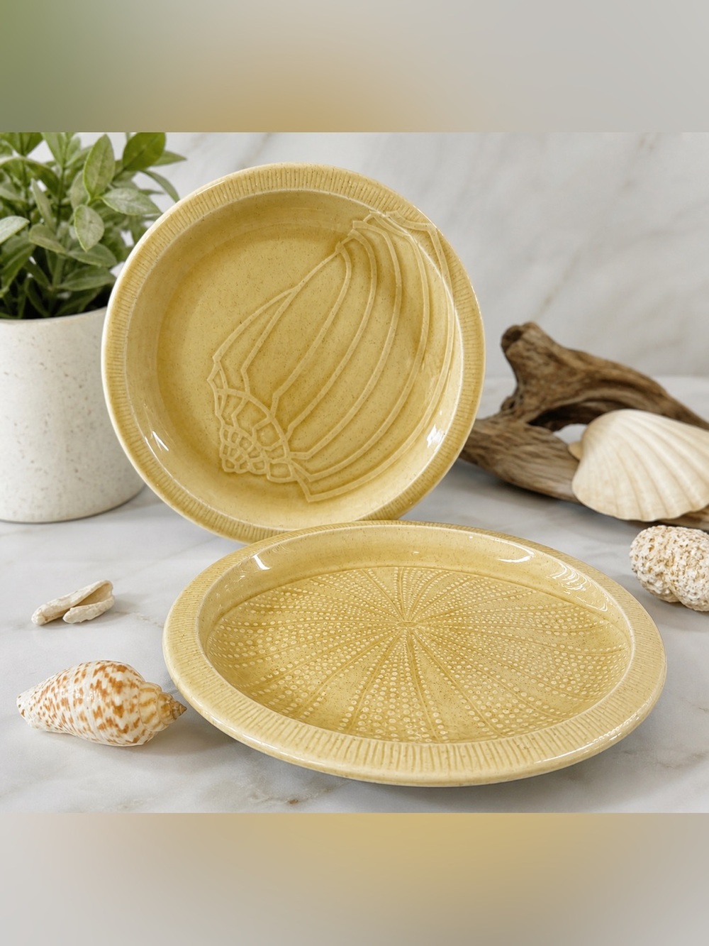 Franciscan Coronado Sand Dollar & Shell Plates 8.5” USA Vintage - Coastal Decor